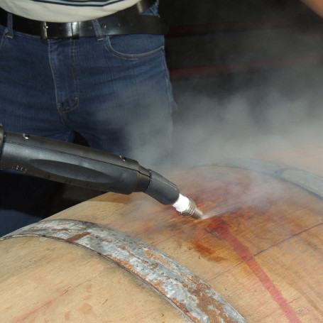 Парогенератор MENIKINI STEAM MASTER 10 COMPACT