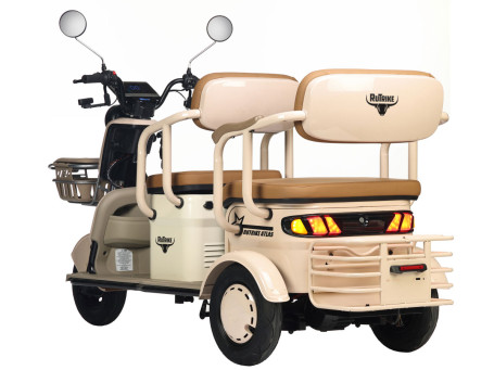 Трицикл электрический Rutrike Атлас (синий) (026353-3257)