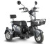 Трицикл электрический Rutrike Шкипер (серый)