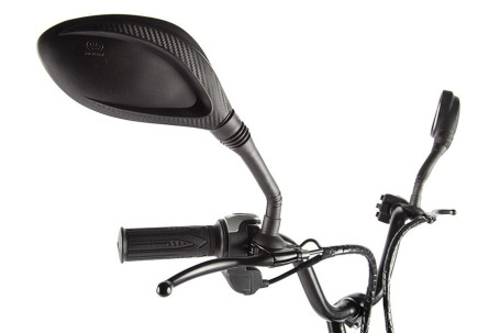 Электровелосипед GREEN CITY e-ALFA new (серебристый)