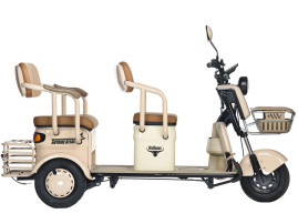 Трицикл электрический Rutrike Атлас (зеленый)