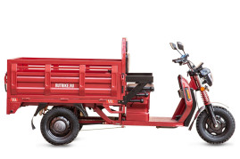 Трицикл электрический Rutrike Антей Pro 1500 60V1200W (серый)