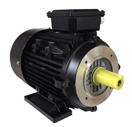 Электродвигатель TOR 112M-4-V (5.5 кВт, 380В, 1450об/мин, внеш. вал DS 2478А, H 112)