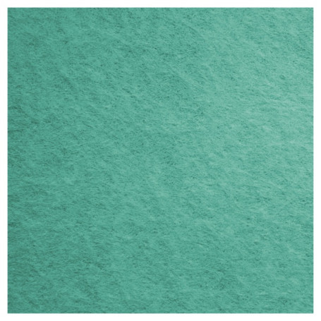 Салфетка TTS FREE-T (38х40см, зеленый, 1шт)