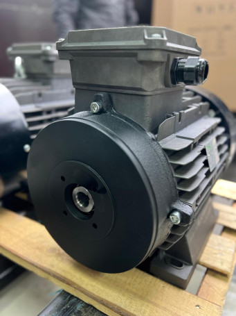 Электродвигатель RAVEL 1959A (15кВт, 380В, 1450об/мин, п.в. 24мм, H160S)