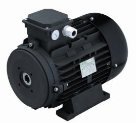 Электродвигатель RAVEL 1830A (5.5кВт, 380В, 1450об/мин, п.в. 24мм, Dфл 87мм, H112)