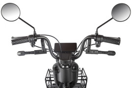 Трицикл электрический Rutrike Шкипер (черный)