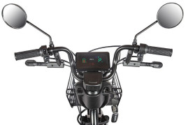 Трицикл электрический Rutrike Караван (зеленый)