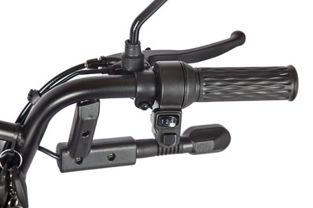 Трицикл электрический Rutrike Караван (зеленый)