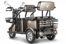 Трицикл электрический Rutrike Караван (коричневый)
