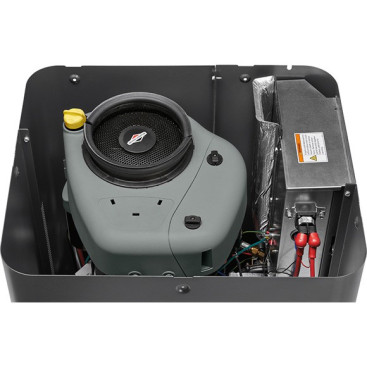 Генератор газовый B&amp;S Home Standby 6000