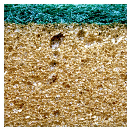 Губка TTS INTENSIVE-T. (14х9.5х3.5см, абразив, 100шт) (TCH803009)