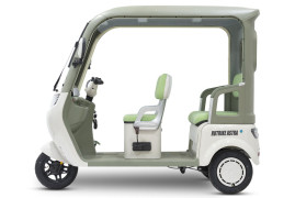 Трицикл электрический Rutrike Астра (зеленый)