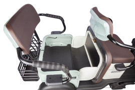 Трицикл электрический Rutrike Gelbert Beta (48/60V, 800W, черный)