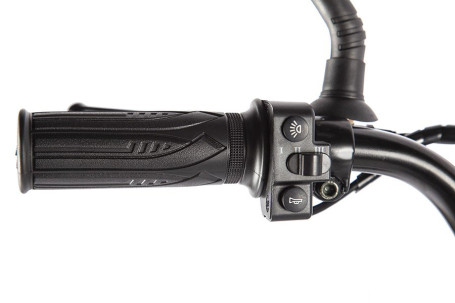 Электровелосипед GREEN CITY e-ALFA GL (красный)