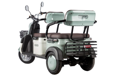 Трицикл электрический Rutrike Gelbert Beta (48/60V, 800W, зелено-белый) (0000256-3030)