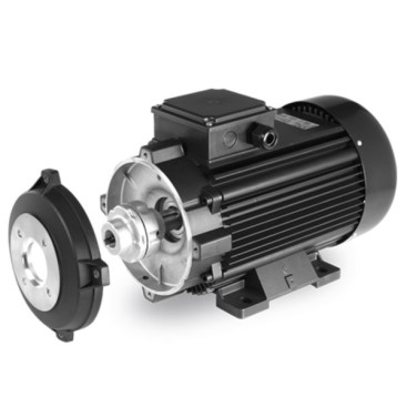 Электродвигатель EME (18.5 кВт, 380В, 1450об/мин, п.в. 24мм, Dфл 87мм, H160, DF)