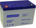 Тяговый аккумулятор CHALLENGER EVG12-90 (12В, 85Ач, GEL)