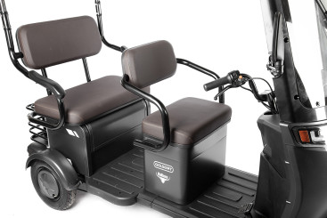 Трицикл электрический Rutrike Gelbert Bos (48/60V, 800W, черный)