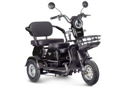 Трицикл электрический Rutrike Gelbert Caf (48/60V, 600W, черный)