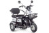  Трицикл электрический Rutrike Gelbert Caf 48V/60V 600Вт (белый) (025512-3039)