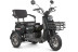 Трицикл электрический Rutrike Патрон (черный)
