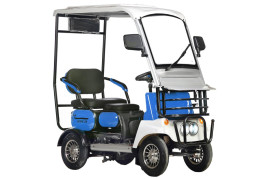 Трицикл электрический Rutrike Gelbert Lich(48/60V, 600W, синий)