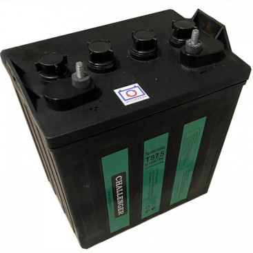 Тяговый аккумулятор Challenger T-875 (8В, 160Ач, Acid)