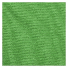 Салфетка TTS Alice BCS (MULTI-T BCS) (40х40см, зеленый, 1шт)