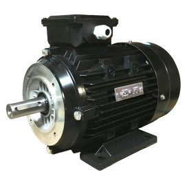 Электродвигатель TOR-DF (5.5кВт, 380В, 1450об/мин, н.в. 28мм, Dфл 130мм, H112)