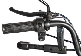 Трицикл электрический Rutrike Экипаж (черный)