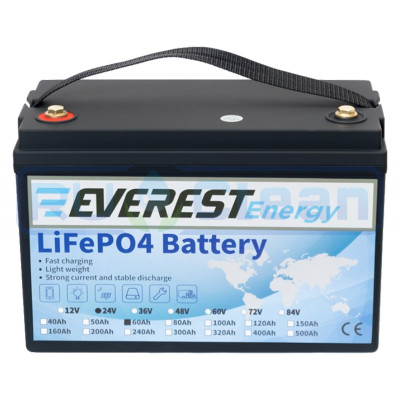 Тяговый аккумулятор Everest Energy (24В, 60Ач, LiFePO4)