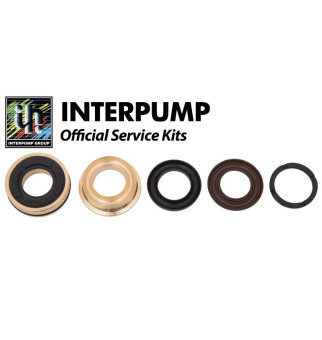 Ремкомплект IPG KIT131 (7шт, Ф18мм, для 1-го поршня)