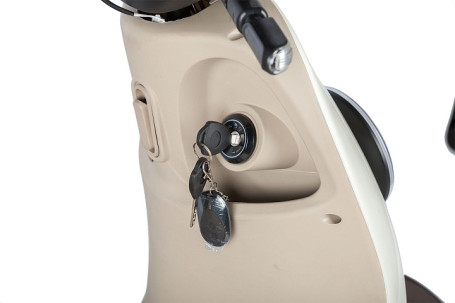 Трицикл электрический Rutrike Gelbert Ogma (48/60V, 650W, бело-коричневый) (0000252-3052)