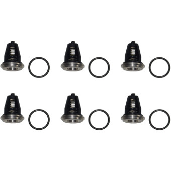 Ремкомплект клапанов IPG KIT62