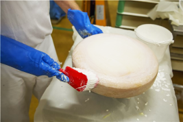 Щетка ручная Vikan (270 мм, красный)