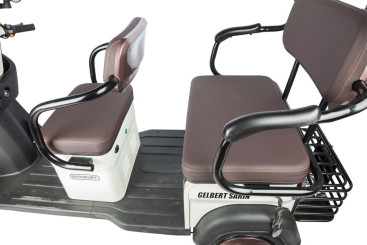 Трицикл электрический Rutrike Gelbert Sarin (48/60V, 1000W, коричнево-белый)