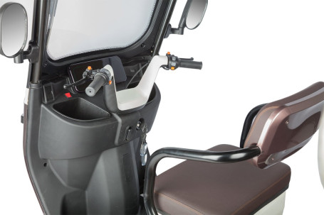 Трицикл электрический Rutrike Gelbert Sarin (48/60V, 1000W, коричнево-белый) (0000260-3054)