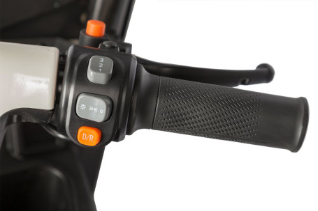 Трицикл электрический Rutrike Gelbert Sarin (48/60V, 1000W, коричнево-белый) (0000260-3054)