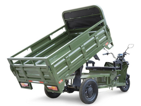 Трицикл электрический Rutrike D4 Next 1800 60V1500W (зеленый)