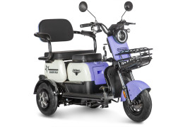 Трицикл электрический Rutrike Gelbert Vega 48V/60V 600Вт (фиолетовый)