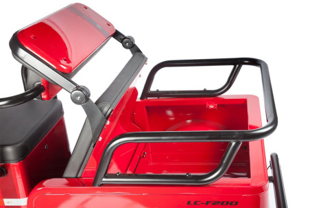 Трицикл электрический Wanshida LC-F200 60V 1000Вт (красный) (025558-3083)