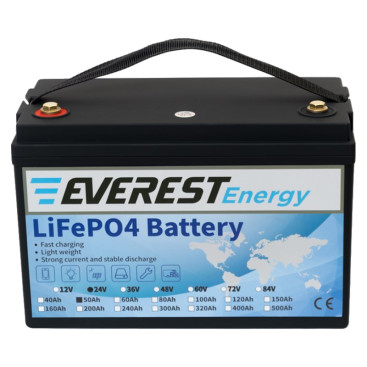 Тяговый аккумулятор Everest Energy LFP-2450 PRO (24В, 50Ач, LiFePo4)