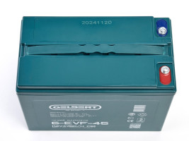 Тяговый аккумулятор Gelbert 6-EVF-45 (12В, 47,5Ач, AGM)