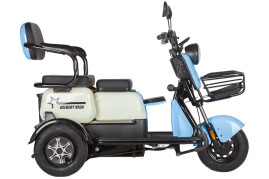 Трицикл электрический Rutrike Gelbert Vega (48/60V, 600W, зеленый)