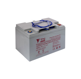 Тяговый аккумулятор Everest Energy TNE12-75 (66Ач, 12В, Gel)