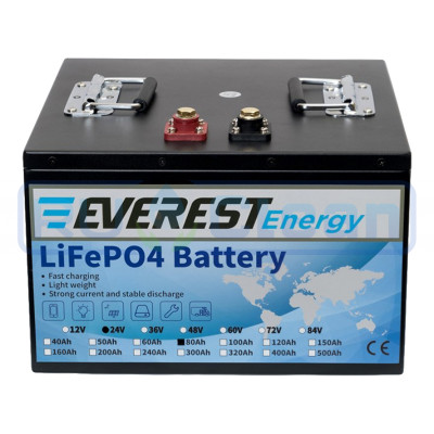 Тяговый аккумулятор Everest Energy (24В, 80Ач, LiFePO4)