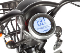 Трицикл электрический Wanshida HOT HATCH (60V, 650W, черный)