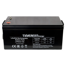 Тяговый аккумулятор Everest Energy (24В, 154Ач, LiFePO4)
