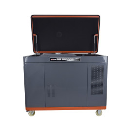 Генератор бензиновый EVOline QB 12003 E